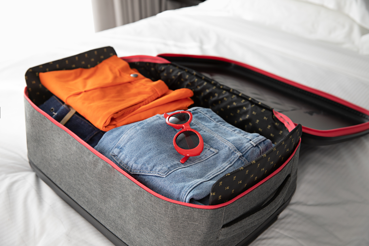 Rollink Flex Earth 21” Collapsible Suitcase